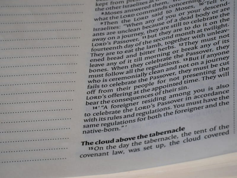 Notes on building software that outlives its authors